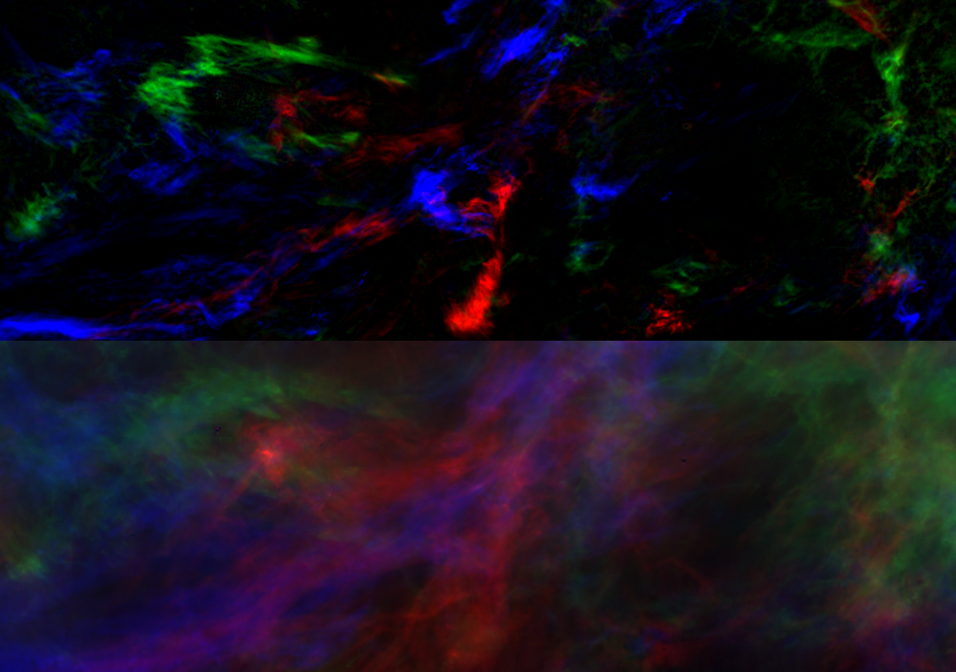 SS+VAE WNM and CNM Map